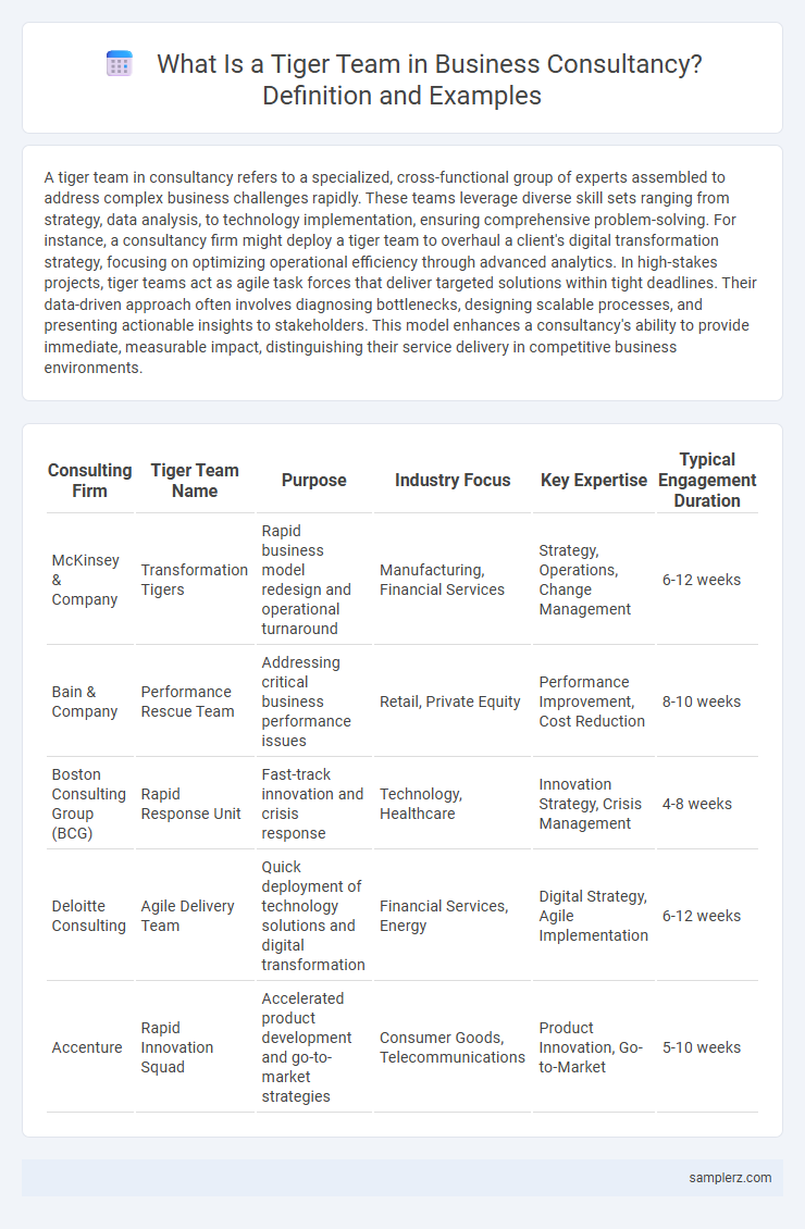 What Is a Tiger Team in Business Consultancy? Definition and Examples