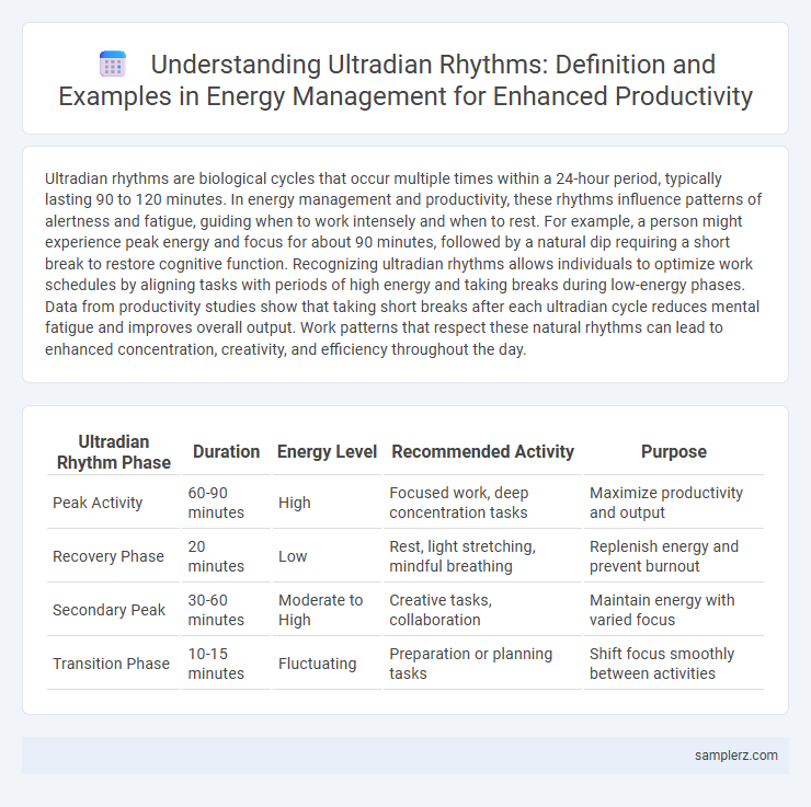 Understanding Ultradian Rhythms: Definition and Examples in Energy Management for Enhanced Productivity