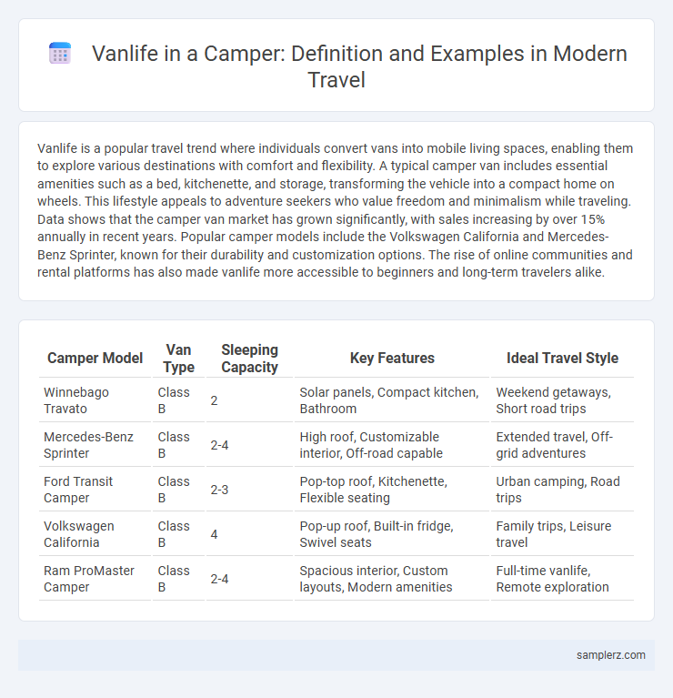 Vanlife in a Camper: Definition and Examples in Modern Travel