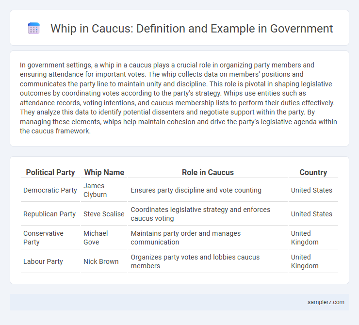 Whip in Caucus: Definition and Example in Government