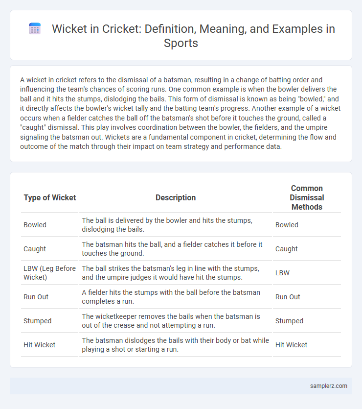 Wicket in Cricket: Definition, Meaning, and Examples in Sports