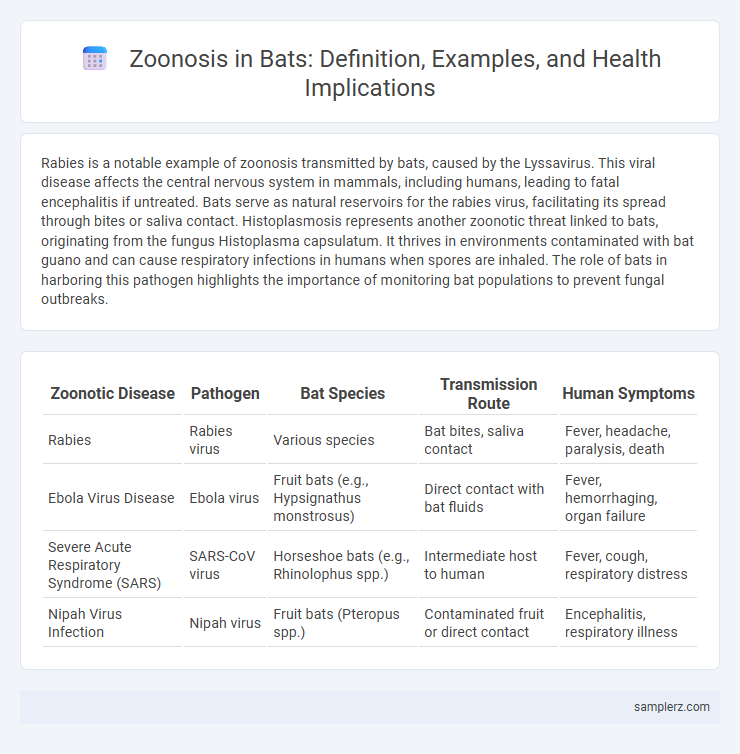 Zoonosis in Bats: Definition, Examples, and Health Implications