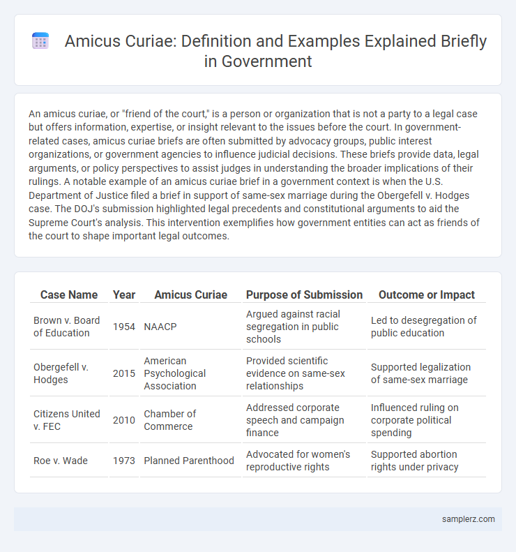 Amicus Curiae: Definition and Examples Explained Briefly in Government