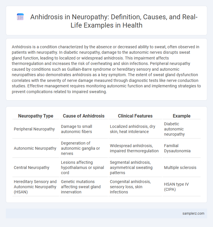 Anhidrosis in Neuropathy: Definition, Causes, and Real-Life Examples in Health