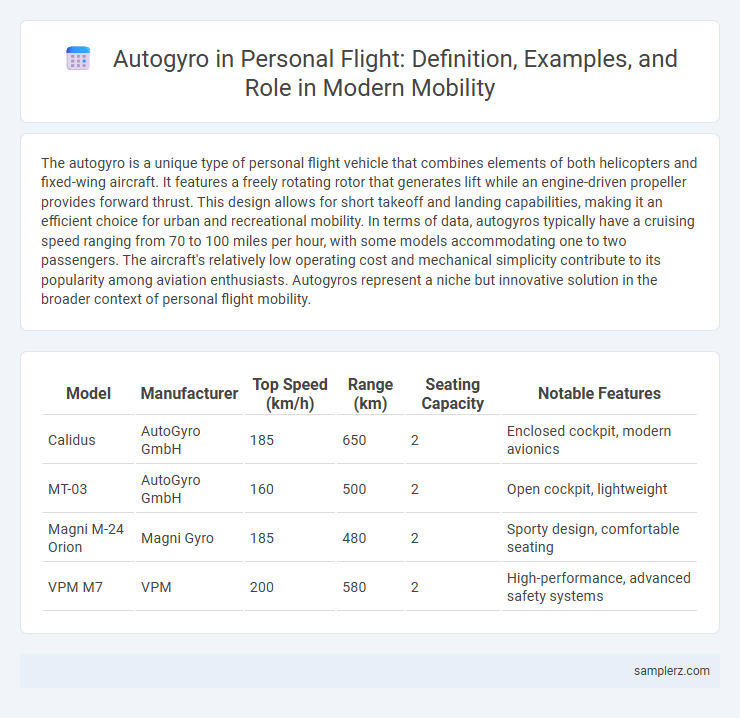 Autogyro in Personal Flight: Definition, Examples, and Role in Modern Mobility