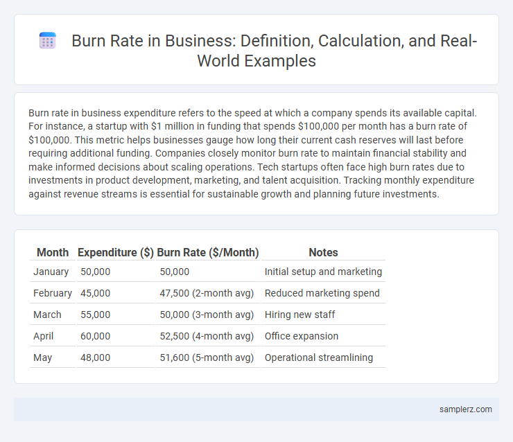 Burn Rate in Business: Definition, Calculation, and Real-World Examples
