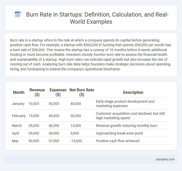 Burn Rate in Startups: Definition, Calculation, and Real-World Examples