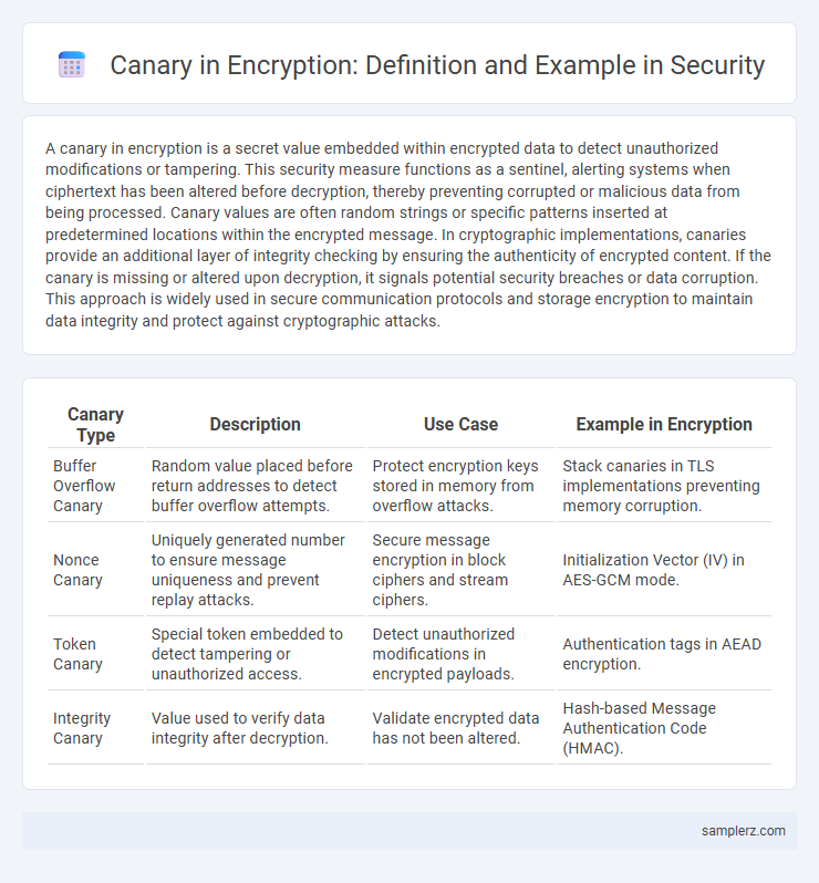 Canary in Encryption: Definition and Example in Security