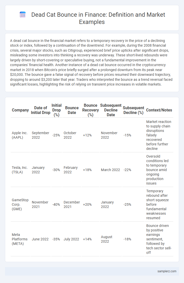 Dead Cat Bounce in Finance: Definition and Market Examples