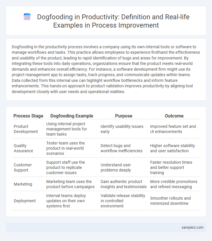 Dogfooding in Productivity: Definition and Real-life Examples in Process Improvement