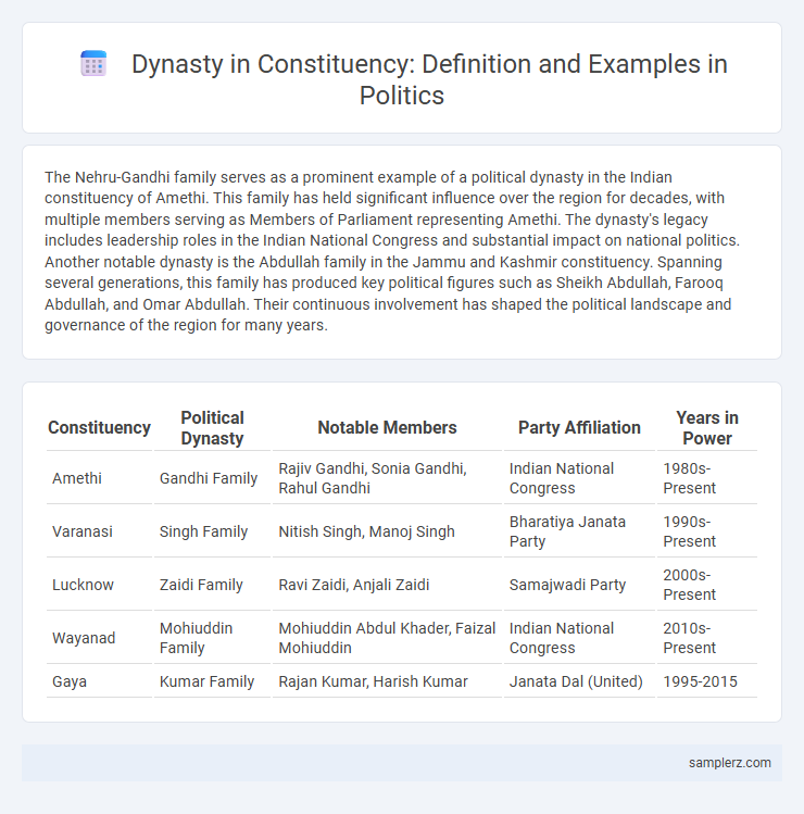 Dynasty in Constituency: Definition and Examples in Politics