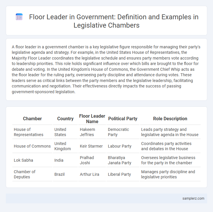 Floor Leader in Government: Definition and Examples in Legislative Chambers