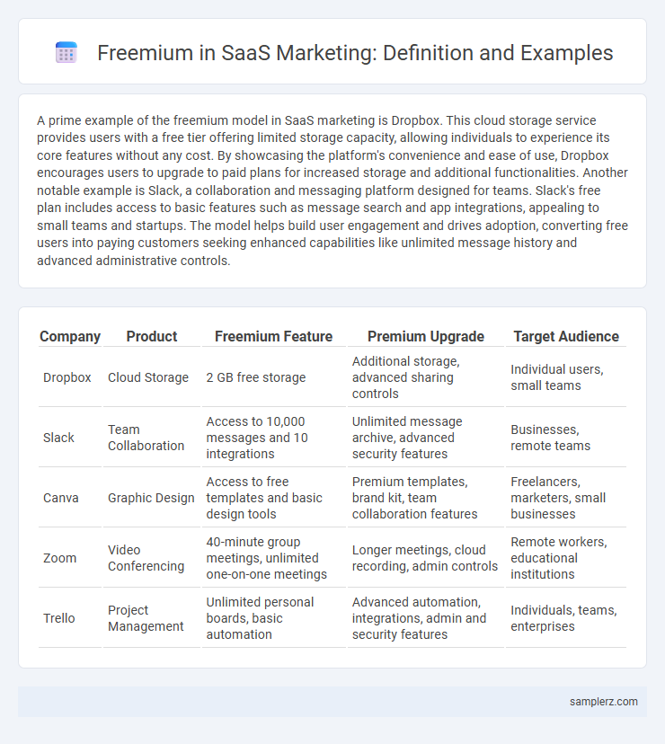 Freemium in SaaS Marketing: Definition and Examples