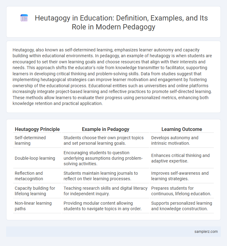 Heutagogy in Education: Definition, Examples, and Its Role in Modern Pedagogy