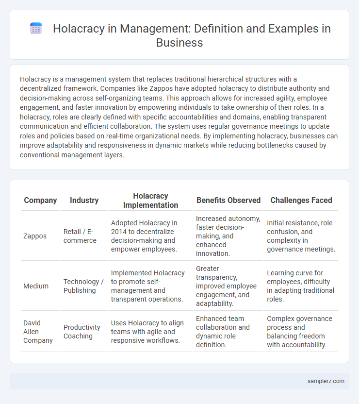 Holacracy in Management: Definition and Examples in Business