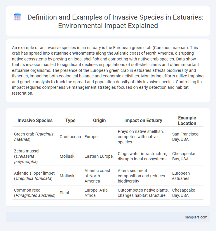 Definition and Examples of Invasive Species in Estuaries: Environmental Impact Explained