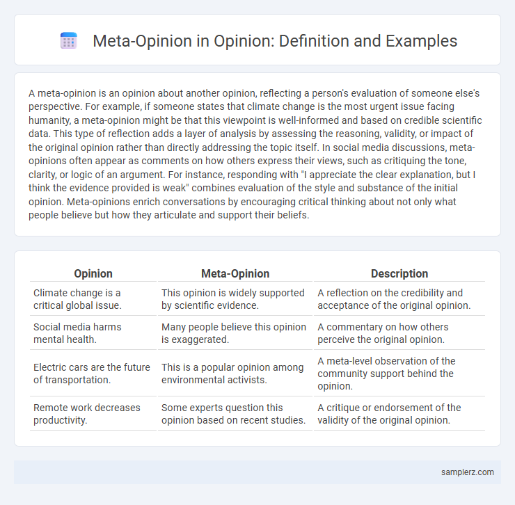Meta-Opinion in Opinion: Definition and Examples
