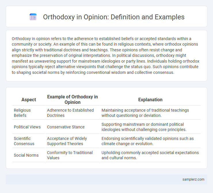 Orthodoxy in Opinion: Definition and Examples