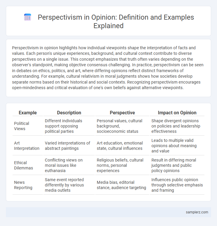 Perspectivism in Opinion: Definition and Examples Explained