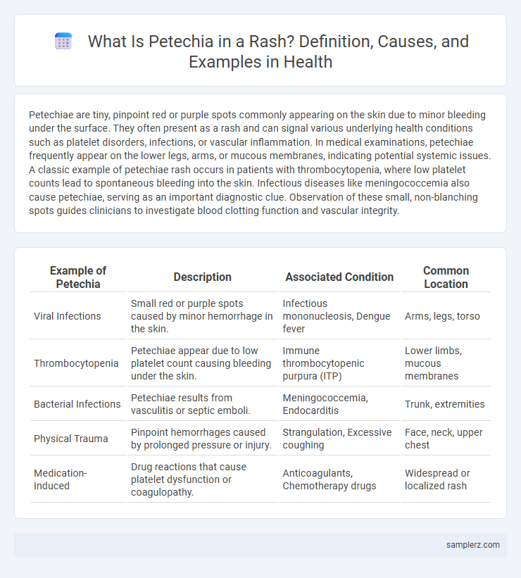 What Is Petechia in a Rash? Definition, Causes, and Examples in Health