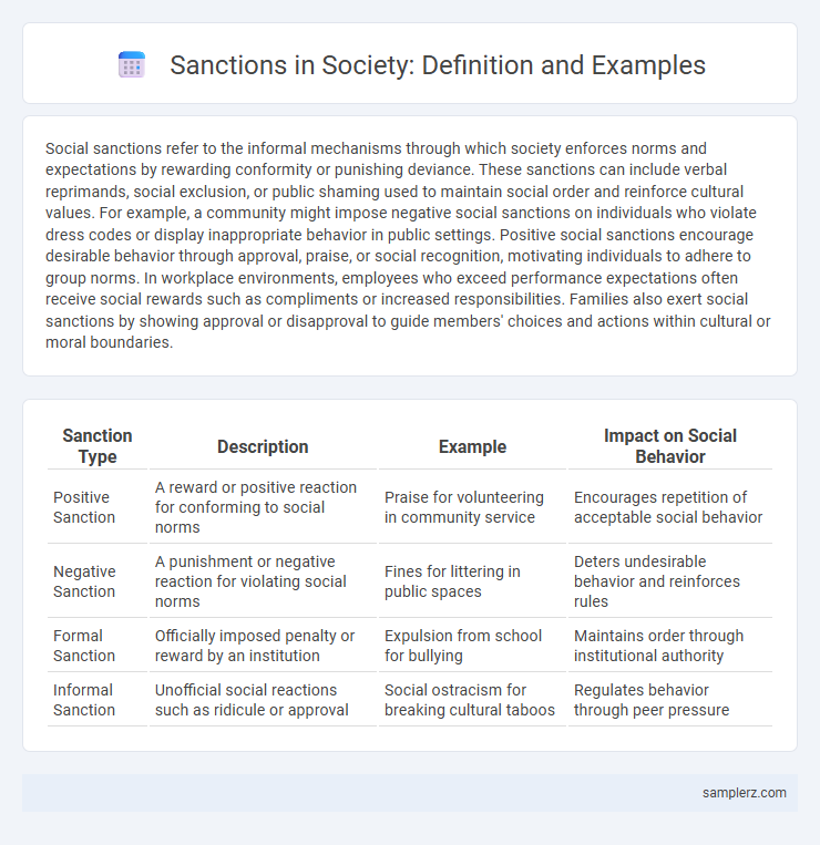 Sanctions in Society: Definition and Examples