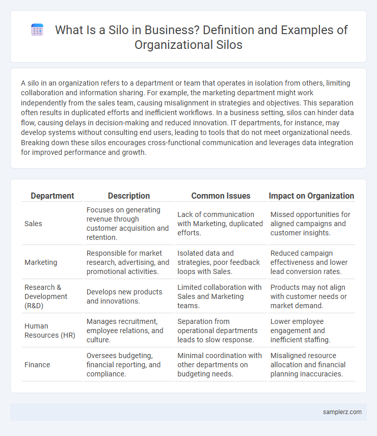 What Is a Silo in Business? Definition and Examples of Organizational Silos