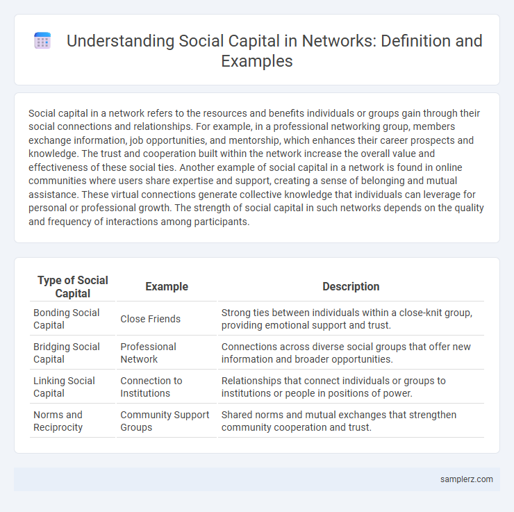 Understanding Social Capital in Networks: Definition and Examples