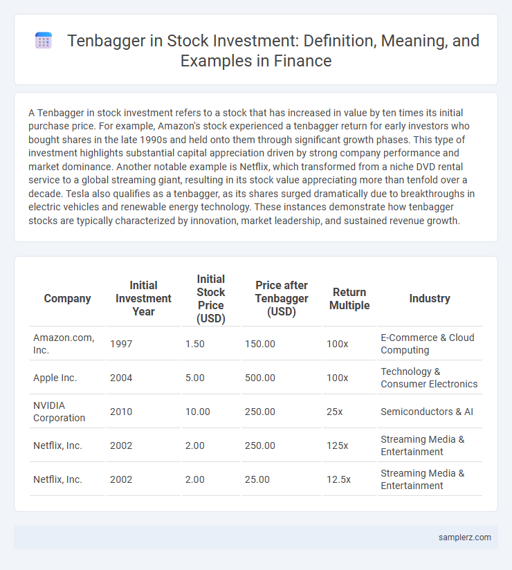 Tenbagger in Stock Investment: Definition, Meaning, and Examples in Finance