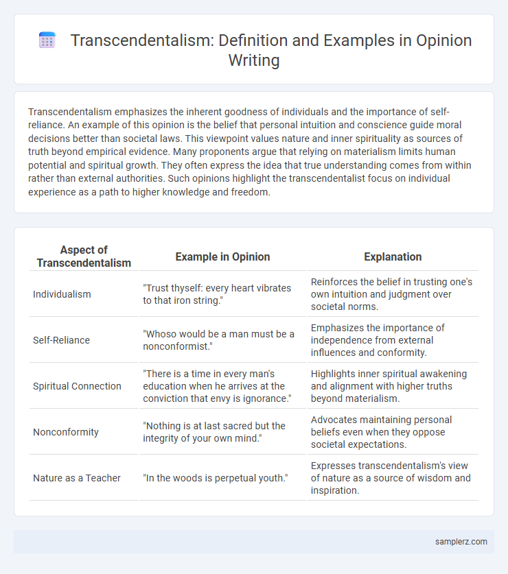 Transcendentalism: Definition and Examples in Opinion Writing