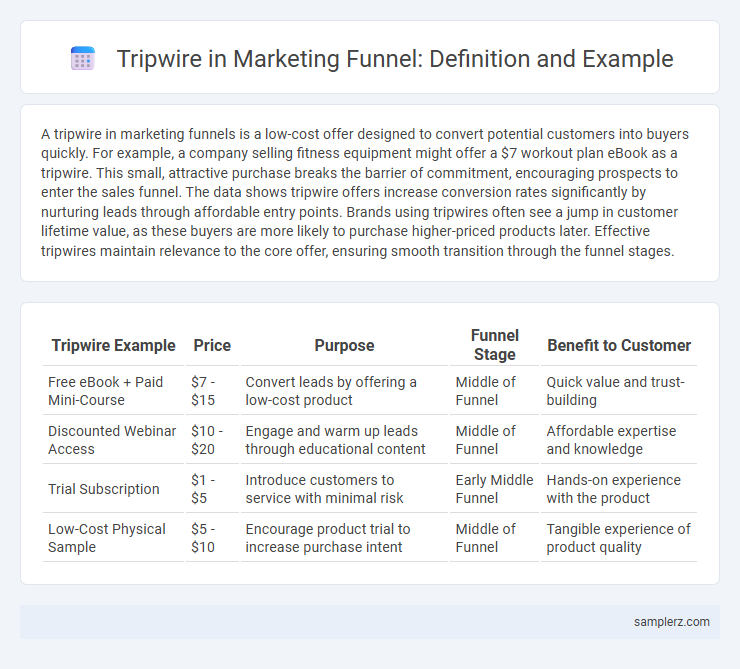 Tripwire in Marketing Funnel: Definition and Example