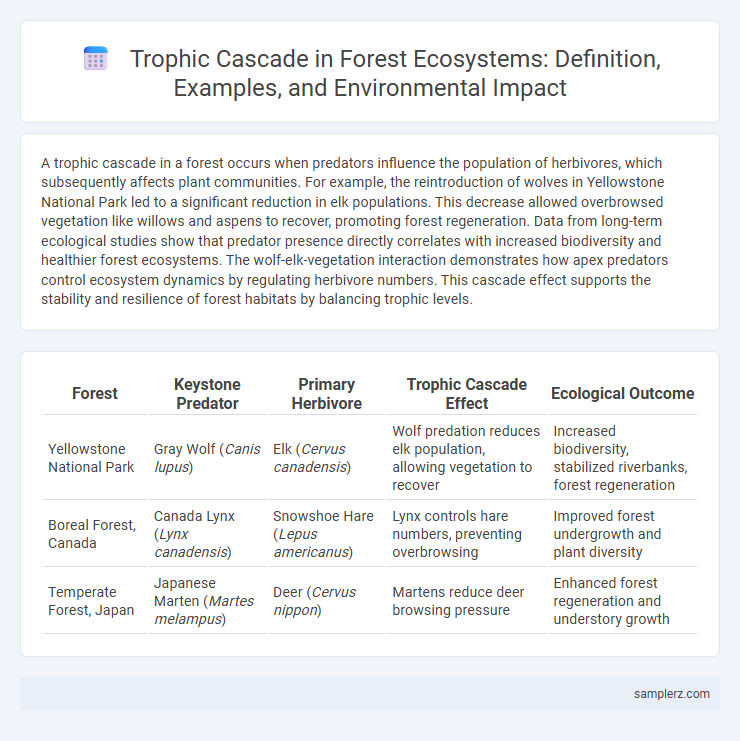 Trophic Cascade in Forest Ecosystems: Definition, Examples, and Environmental Impact