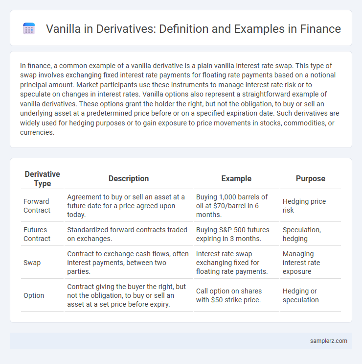 Vanilla in Derivatives: Definition and Examples in Finance