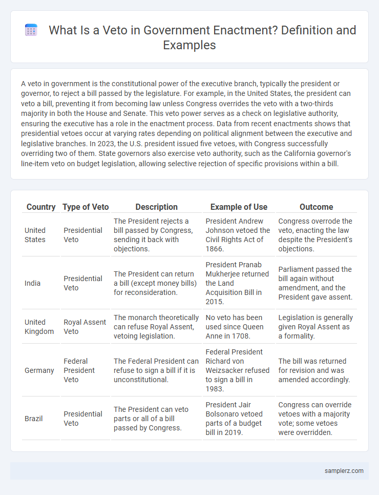 What Is a Veto in Government Enactment? Definition and Examples