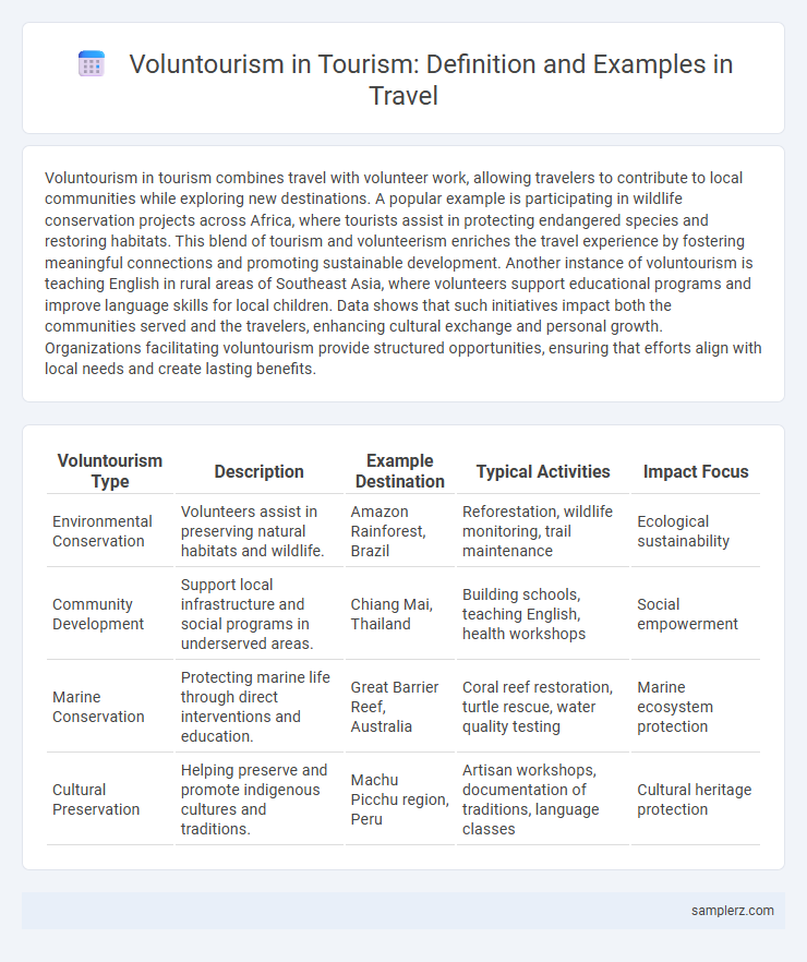 Voluntourism in Tourism: Definition and Examples in Travel