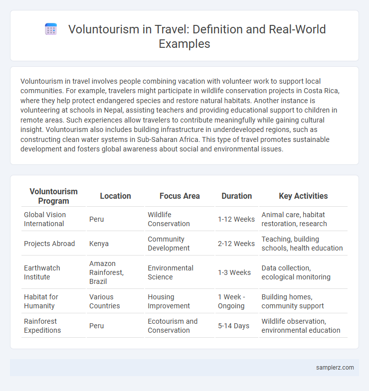 Voluntourism in Travel: Definition and Real-World Examples