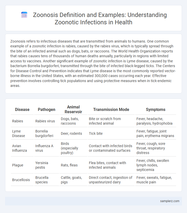 Zoonosis Definition and Examples: Understanding Zoonotic Infections in Health