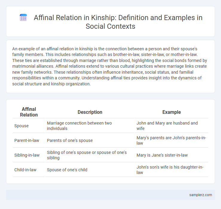 Affinal Relation in Kinship: Definition and Examples in Social Contexts