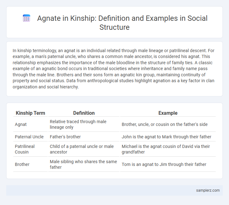 Agnate in Kinship: Definition and Examples in Social Structure