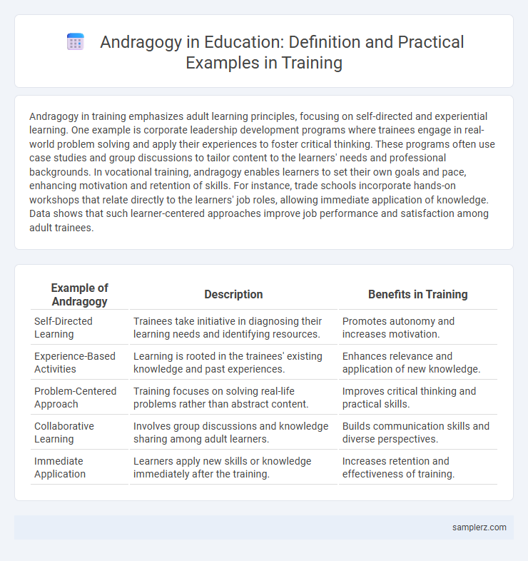 Andragogy in Education: Definition and Practical Examples in Training