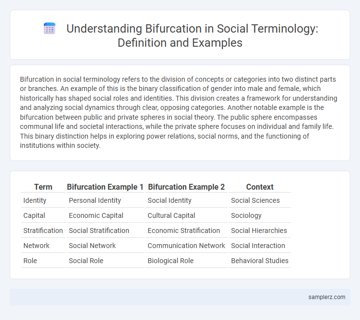 Understanding Bifurcation in Social Terminology: Definition and Examples