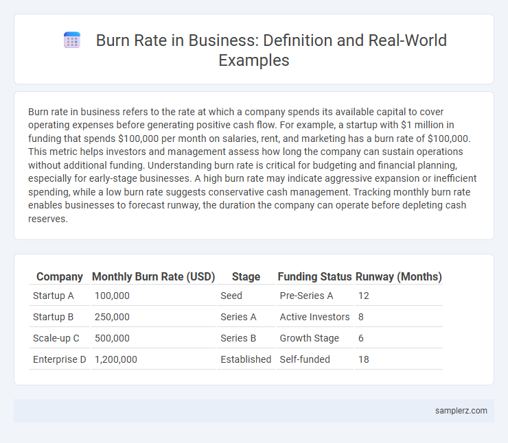 Burn Rate in Business: Definition and Real-World Examples