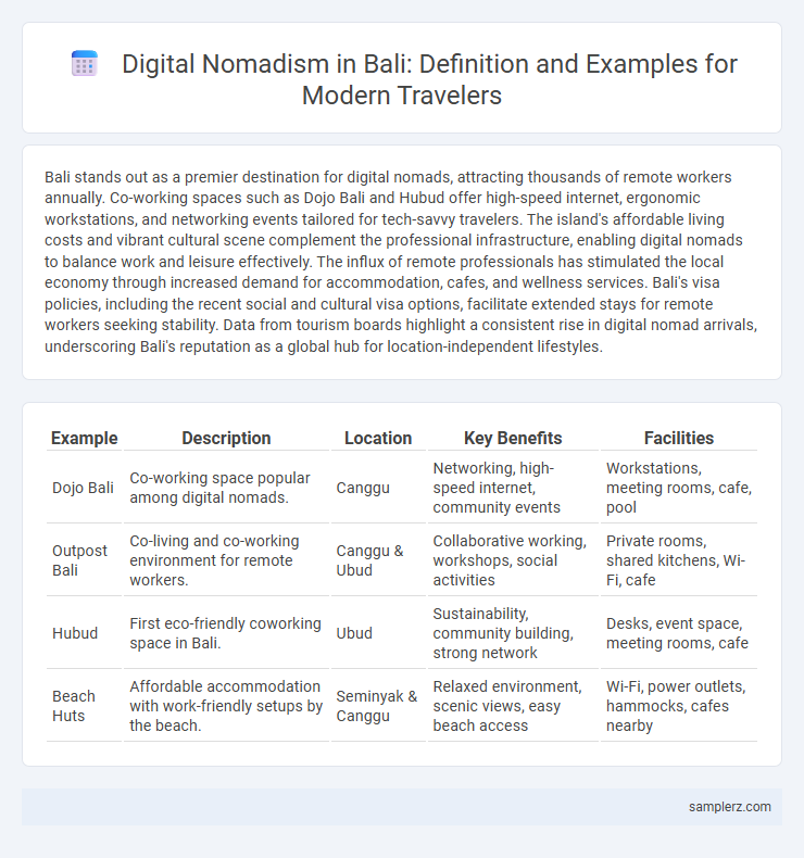 Digital Nomadism in Bali: Definition and Examples for Modern Travelers