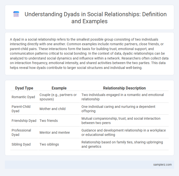 Understanding Dyads in Social Relationships: Definition and Examples