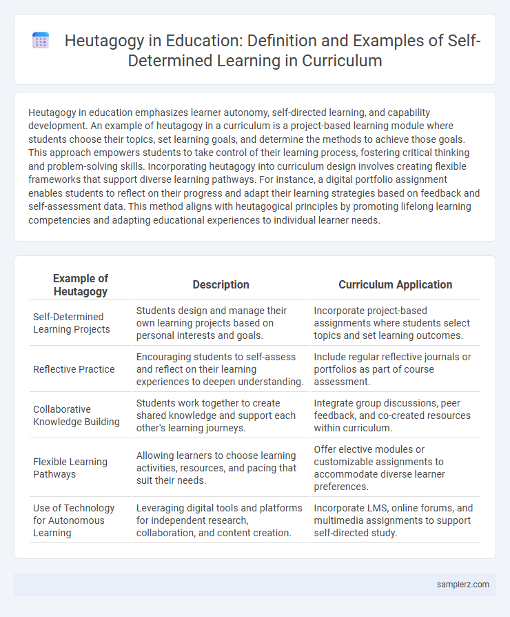 Heutagogy in Education: Definition and Examples of Self-Determined Learning in Curriculum