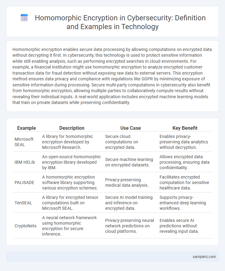 Homomorphic Encryption in Cybersecurity: Definition and Examples in Technology