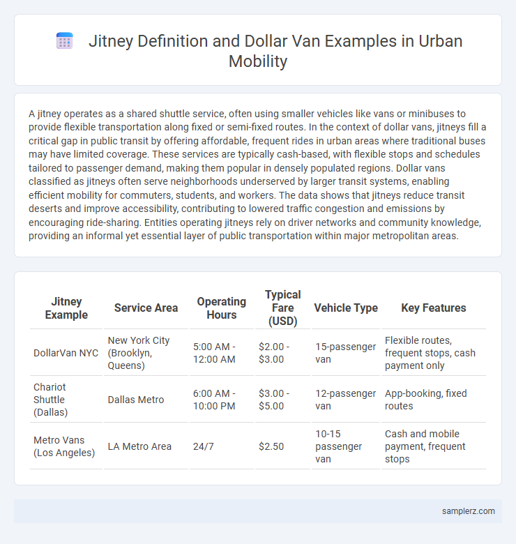 Jitney Definition and Dollar Van Examples in Urban Mobility