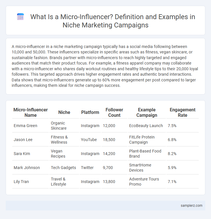 What Is a Micro-Influencer? Definition and Examples in Niche Marketing Campaigns