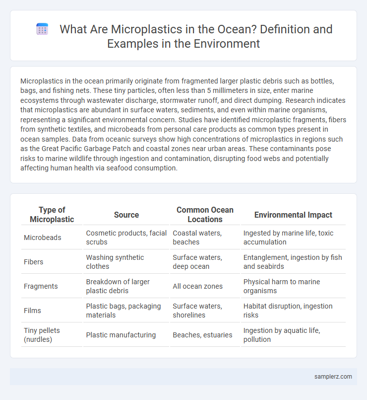 What Are Microplastics in the Ocean? Definition and Examples in the Environment
