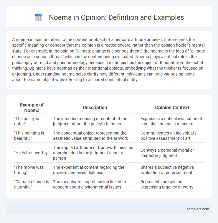 Noema in Opinion: Definition and Examples