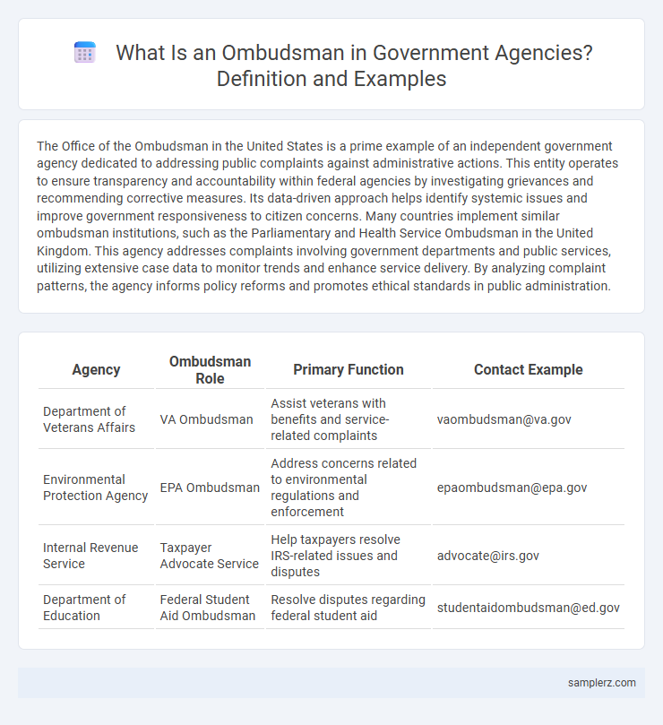 What Is an Ombudsman in Government Agencies? Definition and Examples